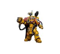 cosmic group Bloomage Joytoy Tech - Joytoy Warhammer 40,000 - Imperial Fists 3rd Captain Tor Garadon 1/18 Figure (Net)
