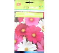 Cosmo Messicano Semi 150 Circa Cosmo Bipinnatus