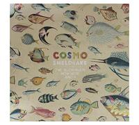 COSMO SHELDRAKE - MUCH MUCH HOW HOW & I (2 LP)