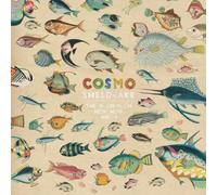 COSMO SHELDRAKE - MUCH MUCH HOW HOW & I (2 LP)