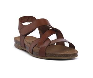 COSMOS CONFORT CHESTNUT sneakers moda Donna 40