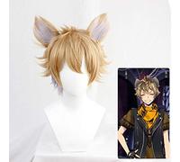 Cosplay parrucca gioco contorto paese delle meraviglie il leone re rugie cosplay parrucca uomini adulti donne capelli corti di lino con orecchio parrucca con le orecchie