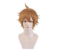 Cosplay Parrucche Parrucca Da Uomo for Capelli Corti E Lisci Da Uomo, Parrucche for Feste In Maschera Parrucca Quotidiana