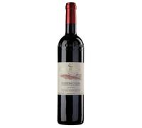 Barbera dAlba DOC 2022