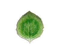 Costa Nova Piatto Riviera: Piatto in Gres Fine con Forma a Foglia di Ortensia e Smaltatura Craquelé Verde, Rifinito a Mano, Impilabile, Lavabile in Lavastoviglie, Adatto al Microonde, 21,8 x 19,1 cm