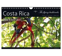 Costa Rica Blickwinkel 2027 (Wandkalender 2027 DIN A4 quer), CALVENDO Monatskale