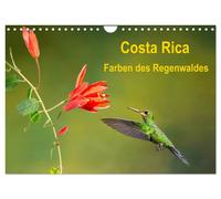 Costa Rica - Farben des Regenwaldes (Wandkalender 2027 DIN A4 quer), CALVENDO Mo