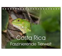 Costa Rica. Faszinierende Tierwelt (Tischkalender 2026 DIN A5 quer), CALVENDO Monatskalender: Eindrucksvolle Aufnahmen von der einzigartigen Tierwelt Costa Ricas