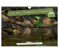 Costa Rica - Tierparadies im Regenwald (Wandkalender 2027 DIN A4 quer), CALVENDO