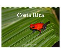 Costa Rica (Wandkalender 2027 DIN A3 quer), CALVENDO Monatskalender