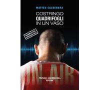 Costringo quadrifogli in un vaso