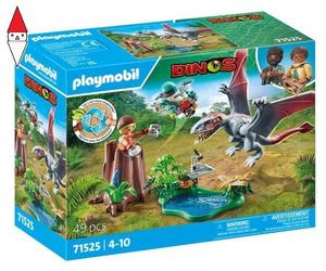 COSTRUZIONE PLAYMOBIL ALLA RICERCA DEL DIMORPHODON