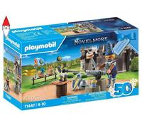 COSTRUZIONE PLAYMOBIL FESTA DI COMPLEANNO DEL CAVALIERE