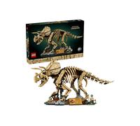 Fossili di dinosauro: Triceratopo