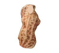 Costume da arachidi Cosplay creativo da arachidi per il palcoscenico