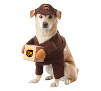 Costume Da Cagnolino UPS | Piccolo
