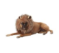 Costume Da Cane Leone Re Della Giungla