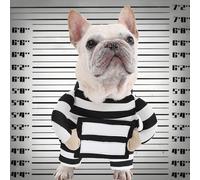 Costume da cane prigioniero, costume da cagnolino prigione per feste a tema