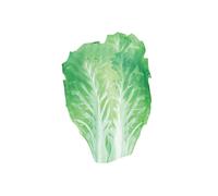Costume da cibo per adulti leggero per donne e uomini, vestito carino per il