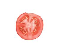 Costume da cibo per adulti leggero per donne e uomini, vestito carino per il