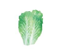 Costume da cibo per adulti per donne e uomini, adorabile costume da
