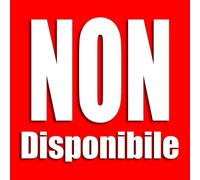 Costume da elfo aiutante di Babbo Natale Taglia donna adulto Feste renna Gnomo