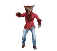 Costume da lupo mannaro uomo taglia unica con maschera e guanti in lattice
