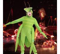 Costume da mantide, adorabile travestimento per spettacoli, feste, giochi di