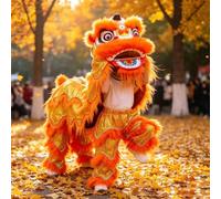 Costume da Mascotte Tradizionale Del Leone, Spettacolo di Danza Del Leone, Altezza 100-180 Cm/39-71 Pollici, Per Due Persone