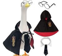 Costume da oca da portico per Halloween, mantello da oca da portico, mantello da portico d'oca per il college, vestaglia magica da mago, mantello per il ritorno a scuola. (rosso)