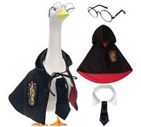 Costume da oca da portico, vestaglia magica, mantello universitario, mondo magico, vestaglia da mago, costume per Halloween da portico d'oca per il ritorno a scuola (rosso)