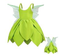 Costume da principessa fata verde, costume da principessa per ragazze, costume da fata verde, costume da principessa per Halloween, travestimento di compleanno per adolescenti e bambini