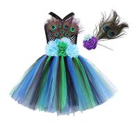 Costume da principessa uccellino, abito con di piume, abbigliamento da regina degli uccelli delle fate, set di abiti colorati per feste per ragazze, abbigliamento