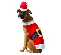 Costume Di Babbo Natale Per Cani