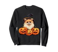 Costume di Halloween con Cane Pomerania con Lanterna Jack O Zucca Felpa