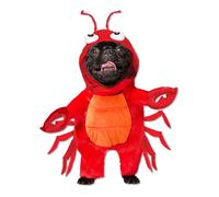 Costume Per Animali Da Compagnia Aragosta