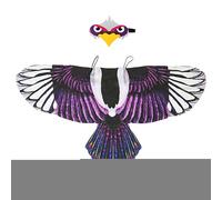 Costume per bambini di Bird Wings | Abito in chiffon con aquila | Tessuto leggero con spallacci regolabili e abbinamento; costume per giochi di ruolo, Halloween, giochi scolastici e bambini
