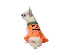Costume per Cane Zucca Taglia M