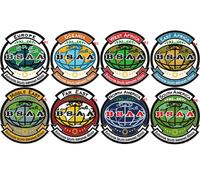 Costume Sostegno: Resident Evil Bsaa Bio Sicurezza Alliance - S.America