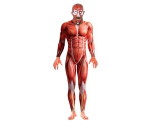 Costume Tutina Anatomia Umana Uomo Halloween - Colore - Rosso, Taglia - L