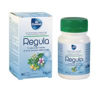 REGULA MISC ERBE SVIZZER 80TAV