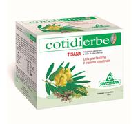 COTIDIERBE TISANA 15BUST 27G