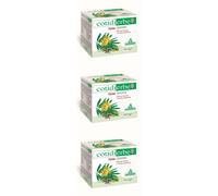 Cotidierbe Tisana 3x15 pz Bustine filtro