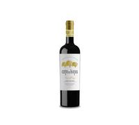 Coto de Hayas Reserva Viñas del Cierzo 2019