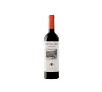 Coto de Imaz Reserva Magnum 2019