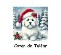 Coton de Tuléar Christmas Notebook