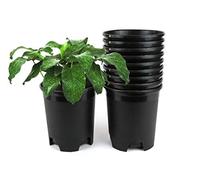 Cotta Planters Fioriere in plastica da 1 gallone, per piante da interno ed esterno, giardinaggio, confezione da 10 vasi per piante con fori di drenaggio