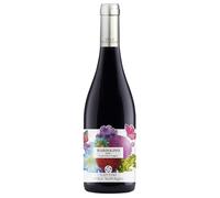 Cottini Stile Naturale Bardolino DOC 2022 0,75 ℓ