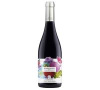 Cottini Stile Naturale Bardolino DOC 2025 0,75 ℓ