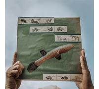 Cotton Jones - The River Strumming